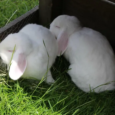 Hacklhof Фермерский дом