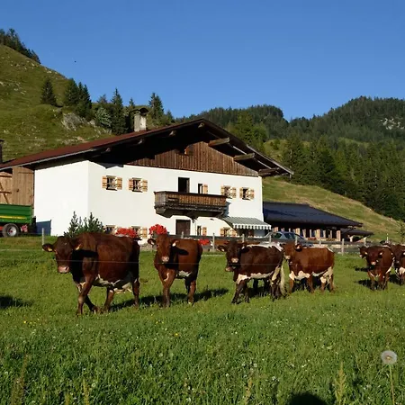 Hacklhof Çiftlik konaklama Kössen