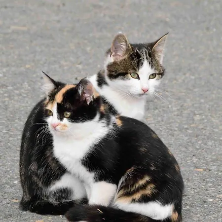 Hacklhof Agroturismo