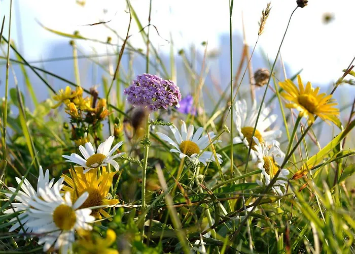 Agroturismo Hacklhof Kössen